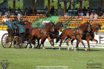 Mezöhegyes 2018 - drezury