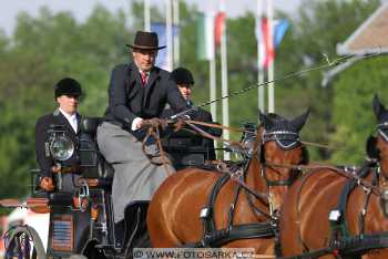 Mezöhegyes 2018 - drezury