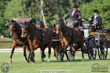 Mezöhegyes 2018 - drezury