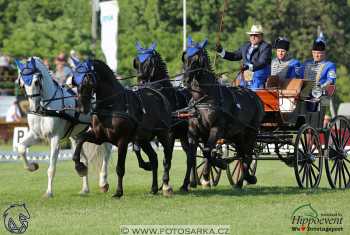 Mezöhegyes 2018 - drezury