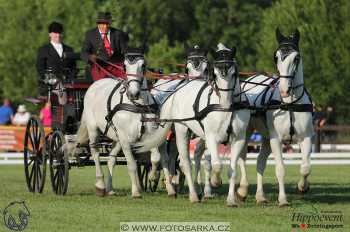 Mezöhegyes 2018 - drezury