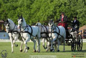 Mezöhegyes 2018 - drezury