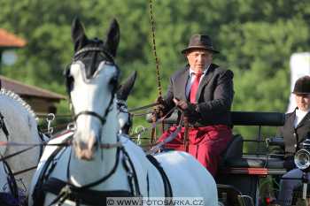 Mezöhegyes 2018 - drezury