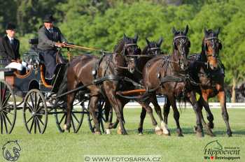 Mezöhegyes 2018 - drezury