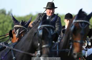 Mezöhegyes 2018 - drezury