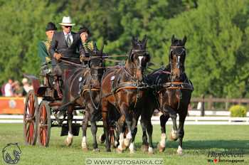 Mezöhegyes 2018 - drezury