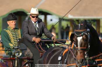 Mezöhegyes 2018 - drezury