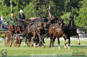Mezöhegyes 2018 - drezury