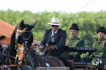 Mezöhegyes 2018 - drezury