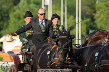 Mezöhegyes 2018 - drezury