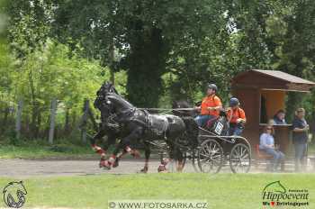 Mezöhegyes 2018 - maraton