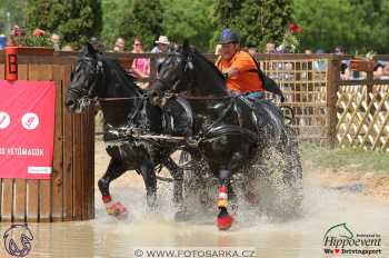 Mezöhegyes 2018 - maraton