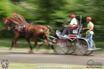 Mezöhegyes 2018 - maraton