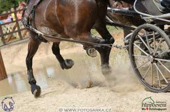 Mezöhegyes 2018 - maraton