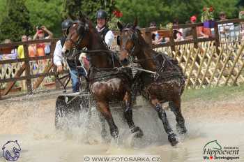 Mezöhegyes 2018 - maraton