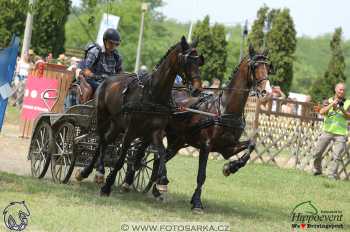 Mezöhegyes 2018 - maraton