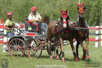 Mezöhegyes 2018 - maraton