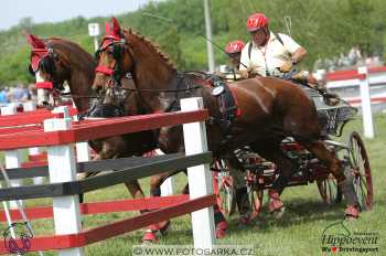 Mezöhegyes 2018 - maraton