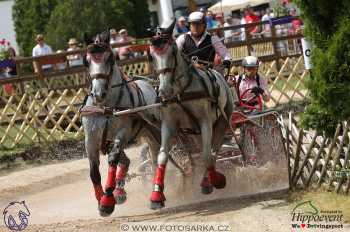 Mezöhegyes 2018 - maraton