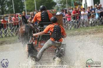 Mezöhegyes 2018 - maraton