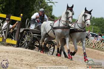 Mezöhegyes 2018 - maraton