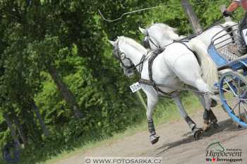 Mezöhegyes 2018 - maraton