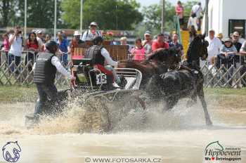 Mezöhegyes 2018 - maraton