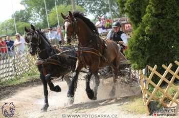 Mezöhegyes 2018 - maraton