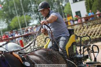 Mezöhegyes 2018 - maraton