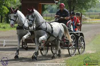 Mezöhegyes 2018 - maraton