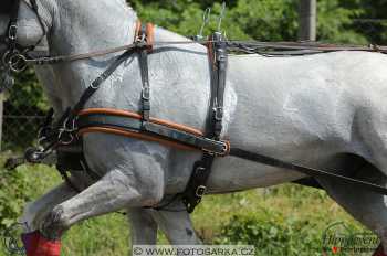 Mezöhegyes 2018 - maraton