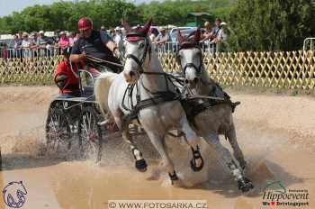 Mezöhegyes 2018 - maraton