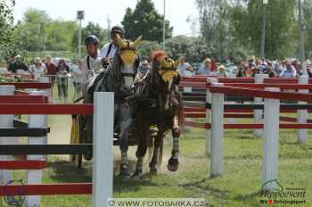 Mezöhegyes 2018 - maraton
