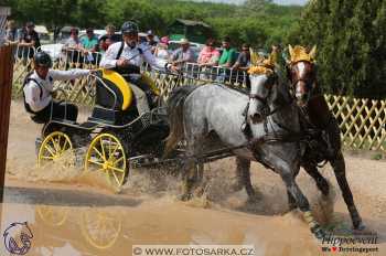 Mezöhegyes 2018 - maraton