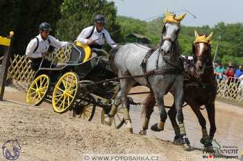 Mezöhegyes 2018 - maraton