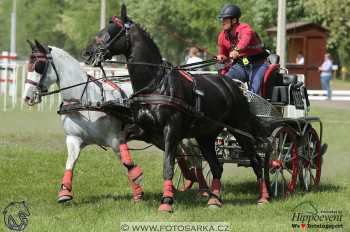 Mezöhegyes 2018 - maraton