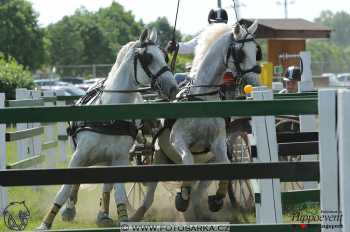 Mezöhegyes 2018 - maraton