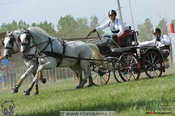 Mezöhegyes 2018 - maraton