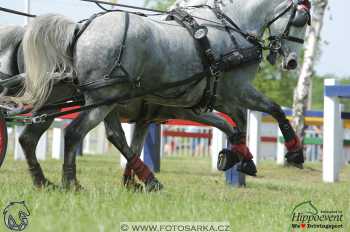 Mezöhegyes 2018 - maraton