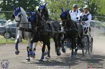 Mezöhegyes 2018 - maraton