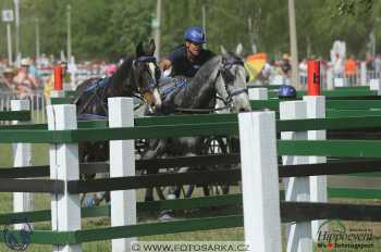 Mezöhegyes 2018 - maraton