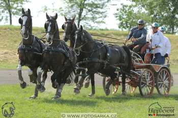 Mezöhegyes 2018 - maraton