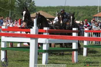Mezöhegyes 2018 - maraton