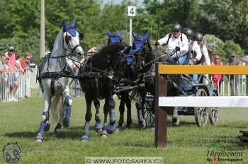 Mezöhegyes 2018 - maraton
