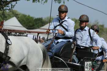 Mezöhegyes 2018 - maraton