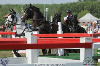 Mezöhegyes 2018 - maraton