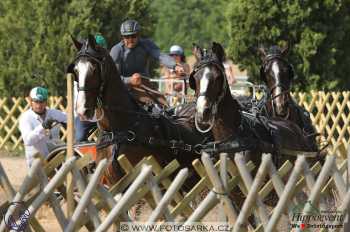 Mezöhegyes 2018 - maraton