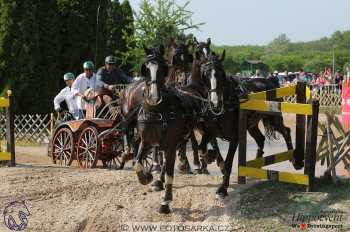 Mezöhegyes 2018 - maraton