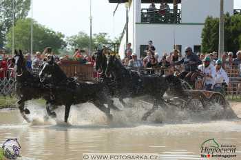 Mezöhegyes 2018 - maraton