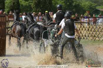 Mezöhegyes 2018 - maraton